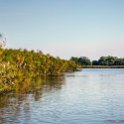 BWA NW OkavangoDelta 2016DEC01 Nguma 037 : 2016, 2016 - African Adventures, Africa, Botswana, Date, December, Month, Ngamiland, Nguma, Northwest, Okavango Delta, Places, Southern, Trips, Year
